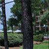 Beachside Tennis Villas, Sea Pines, Hilton Head Island, South Carolina